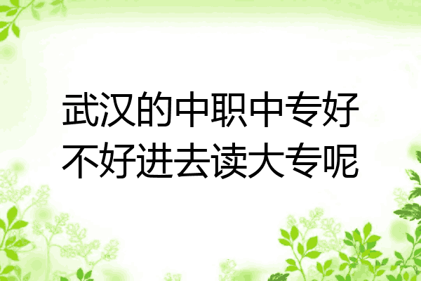 武汉的中职中专好不好进去读大专呢