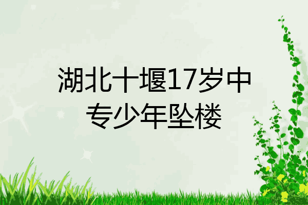 湖北十堰17岁中专少年坠楼