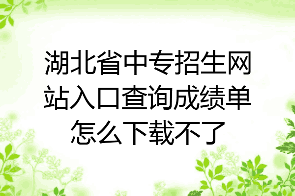 湖北省中专招生网站入口查询成绩单怎么下载不了
