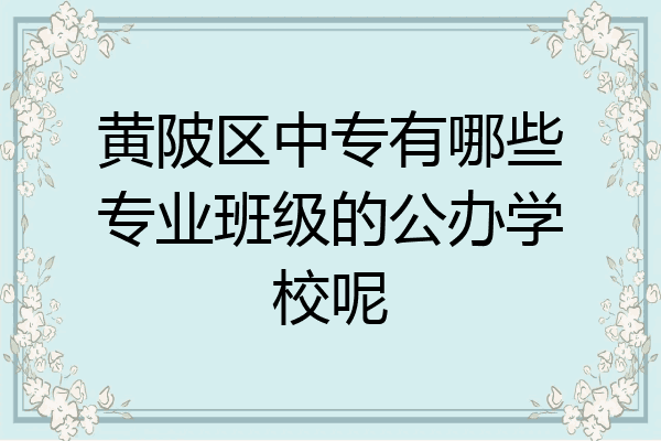 黄陂区中专有哪些专业班级的公办学校呢