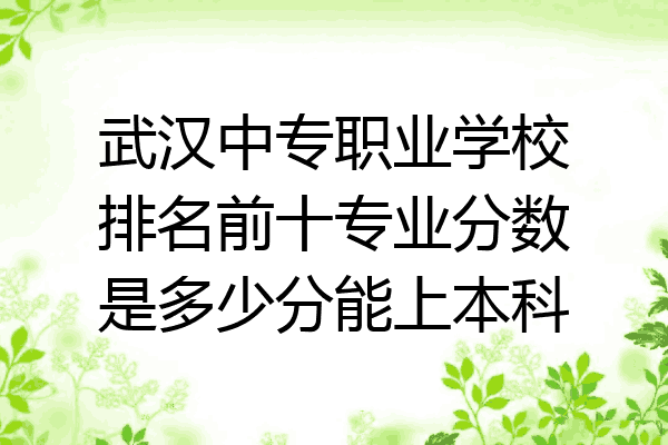武汉中专职业学校排名前十专业分数是多少分能上本科
