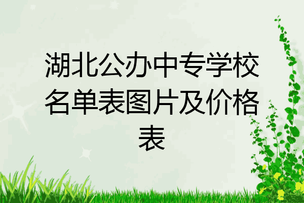 湖北公办中专学校名单表图片及价格表