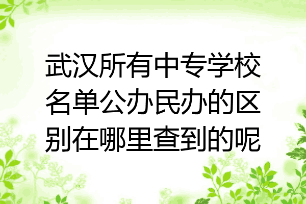 武汉所有中专学校名单公办民办的区别在哪里查到的呢