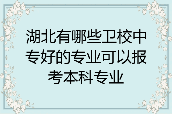 湖北有哪些卫校中专好的专业可以报考本科专业