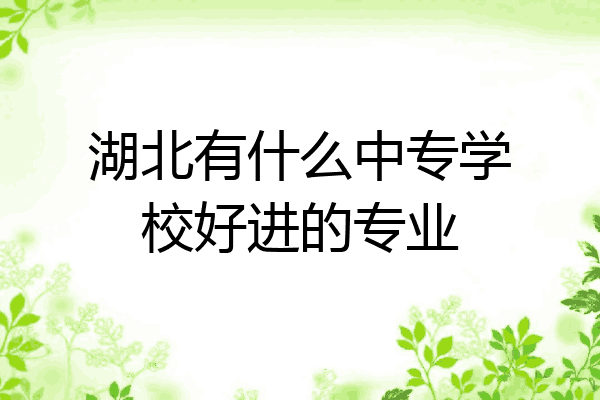 湖北有什么中专学校好进的专业