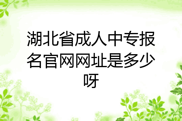 湖北省成人中专报名官网网址是多少呀