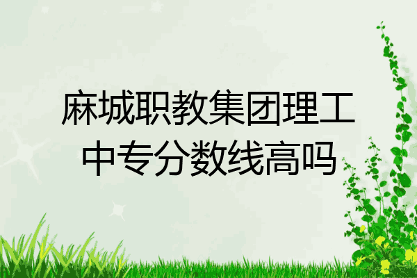 麻城职教集团理工中专分数线高吗