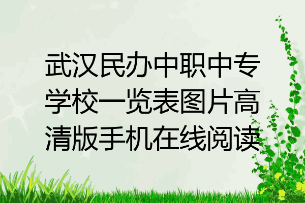武汉民办中职中专学校一览表图片高清版手机在线阅读