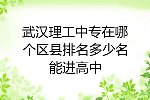 武汉理工中专在哪个区县排名多少名能进高中