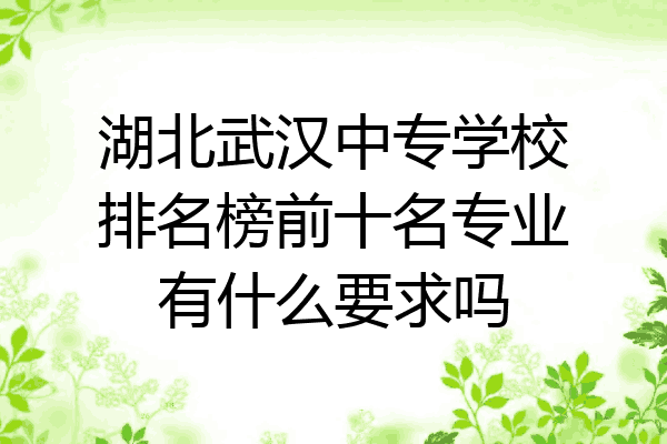 湖北武汉中专学校排名榜前十名专业有什么要求吗
