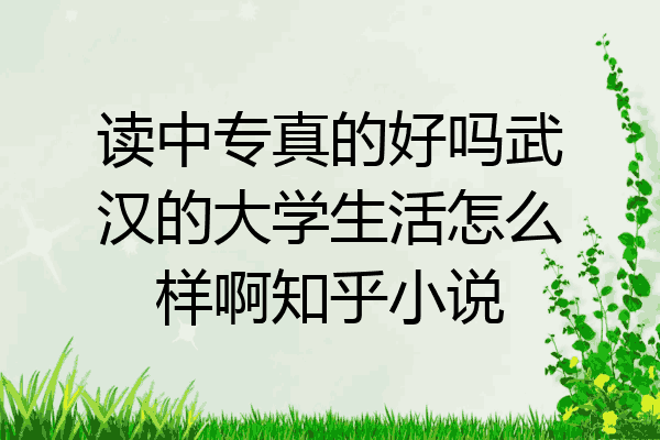 读中专真的好吗武汉的大学生活怎么样啊知乎小说