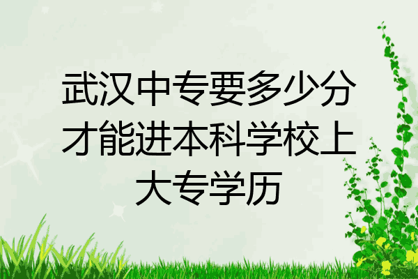 武汉中专要多少分才能进本科学校上大专学历