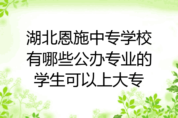 湖北恩施中专学校有哪些公办专业的学生可以上大专
