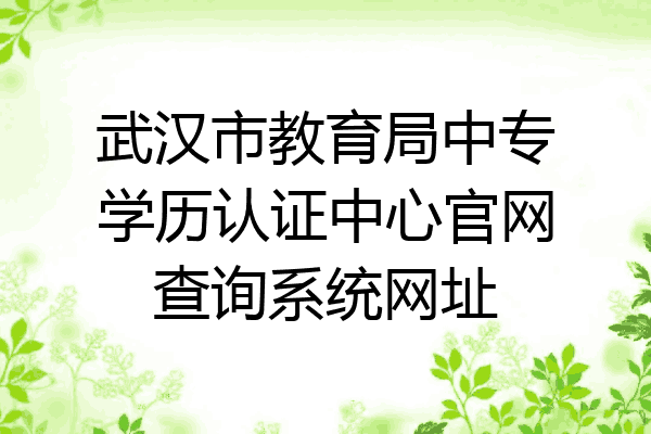 武汉市教育局中专学历认证中心官网查询系统网址