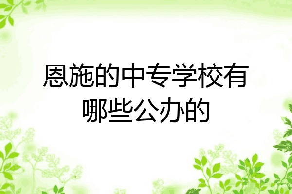 恩施的中专学校有哪些公办的