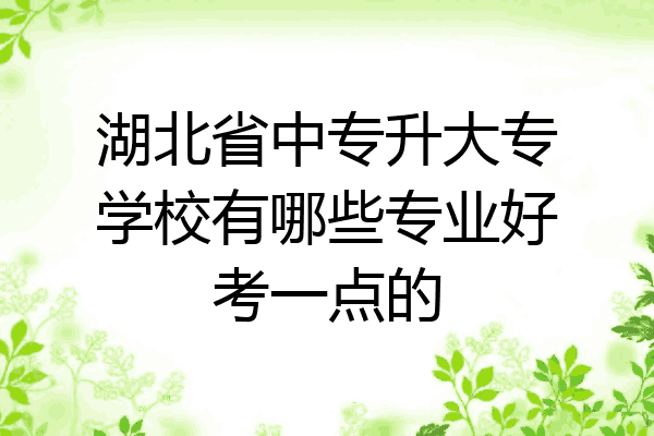 湖北省中专升大专学校有哪些专业好考一点的