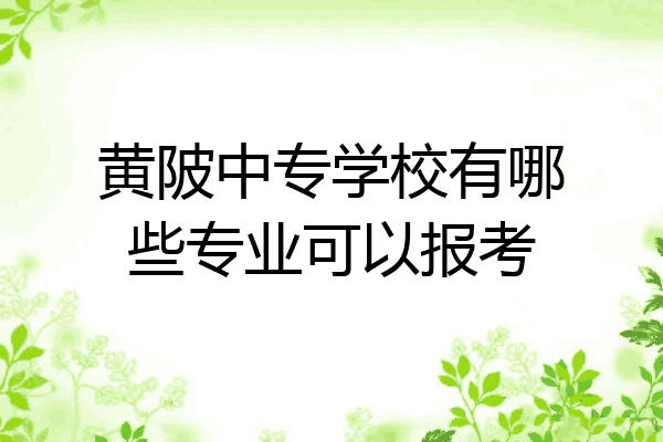 黄陂中专学校有哪些专业可以报考