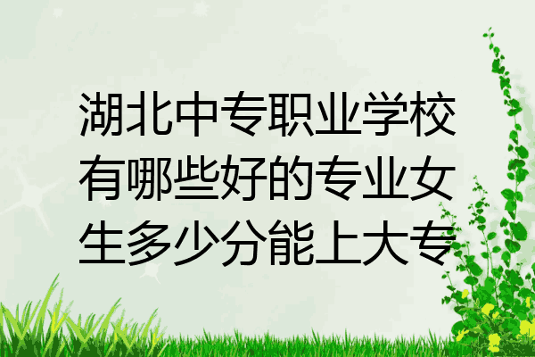 湖北中专职业学校有哪些好的专业女生多少分能上大专