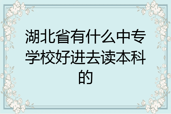 湖北省有什么中专学校好进去读本科的