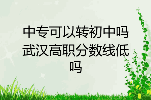 中专可以转初中吗武汉高职分数线低吗