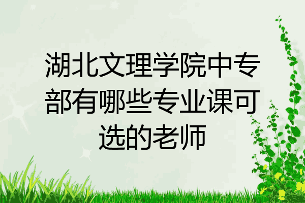 湖北文理学院中专部有哪些专业课可选的老师