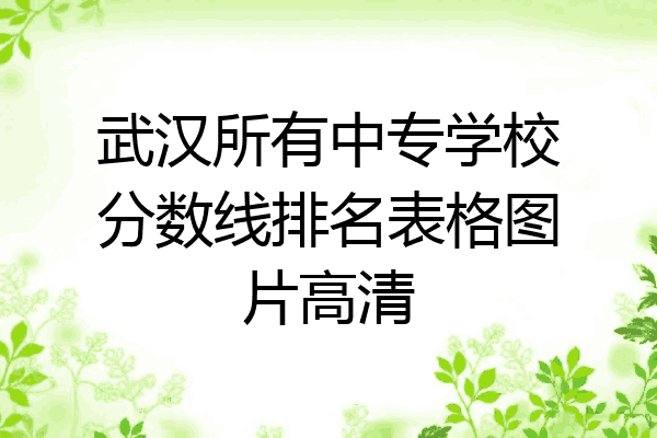 武汉所有中专学校分数线排名表格图片高清