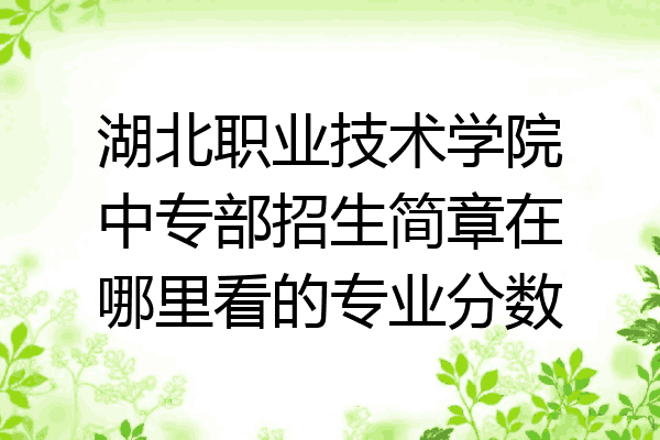 湖北职业技术学院中专部招生简章在哪里看的专业分数