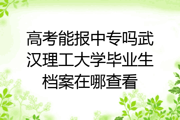 高考能报中专吗武汉理工大学毕业生档案在哪查看