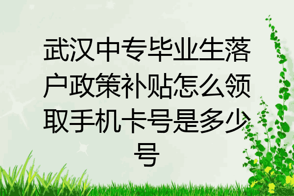 武汉中专毕业生落户政策补贴怎么领取手机卡号是多少号