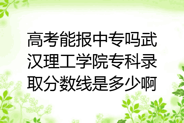 高考能报中专吗武汉理工学院专科录取分数线是多少啊