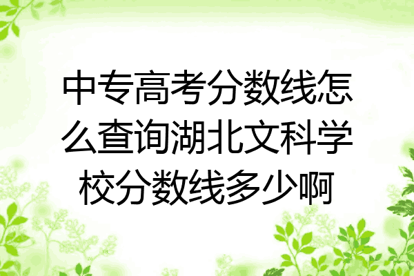 中专高考分数线怎么查询湖北文科学校分数线多少啊