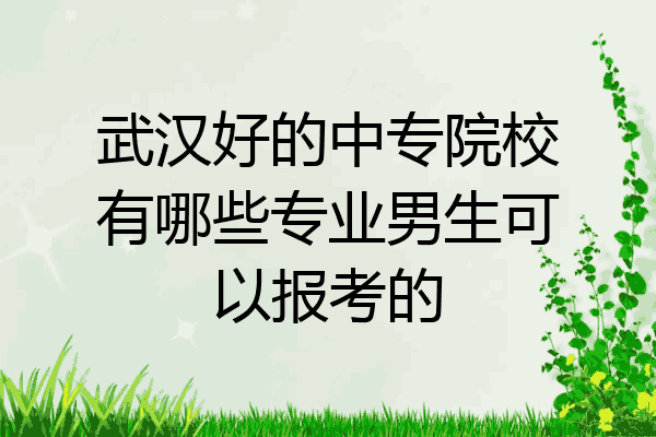 武汉好的中专院校有哪些专业男生可以报考的