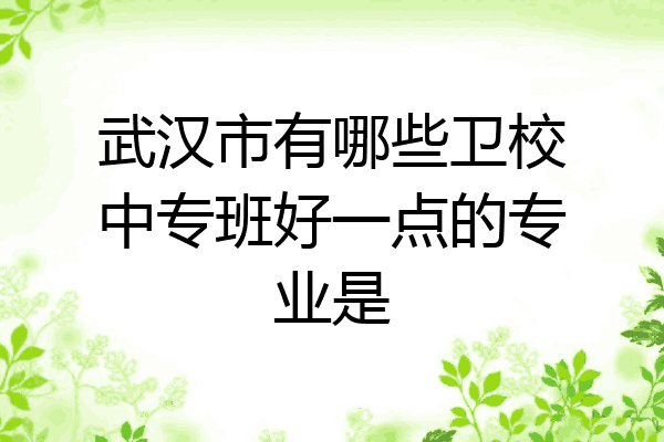 武汉市有哪些卫校中专班好一点的专业是