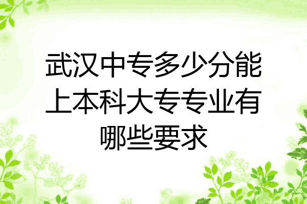 武汉中专多少分能上本科大专专业有哪些要求