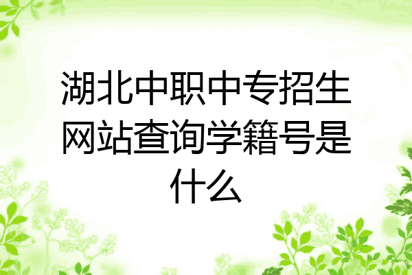 湖北中职中专招生网站查询学籍号是什么