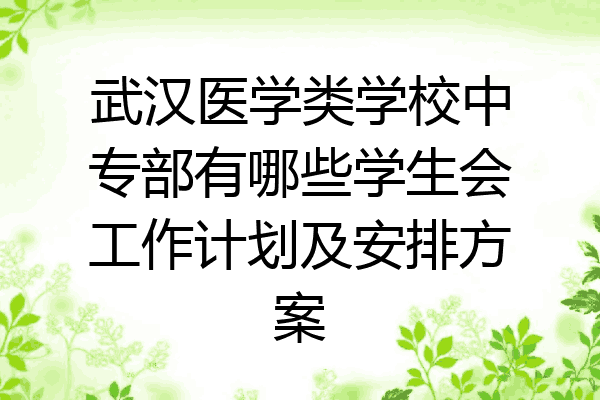 武汉医学类学校中专部有哪些学生会工作计划及安排方案