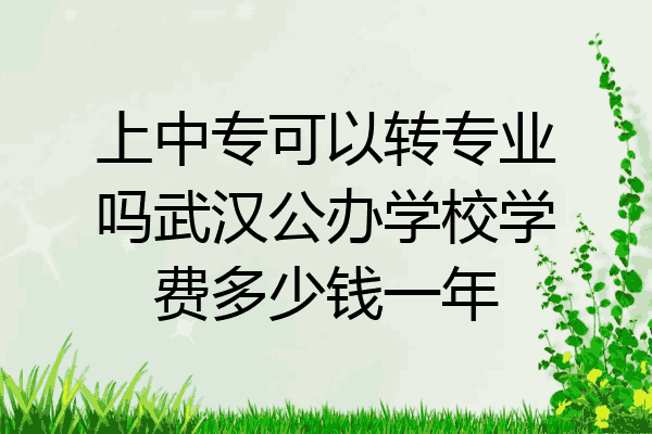 上中专可以转专业吗武汉公办学校学费多少钱一年