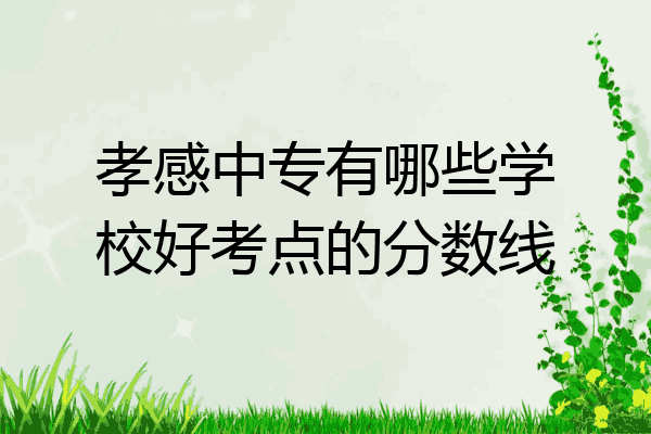 孝感中专有哪些学校好考点的分数线