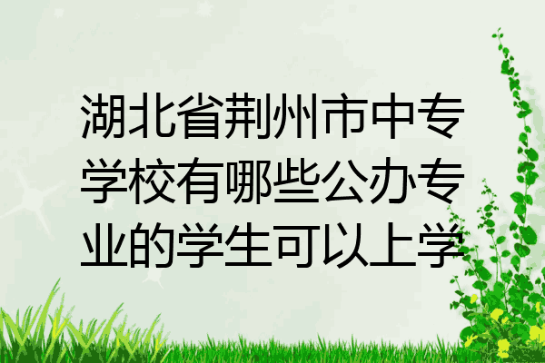湖北省荆州市中专学校有哪些公办专业的学生可以上学