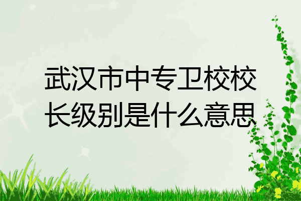 武汉市中专卫校校长级别是什么意思