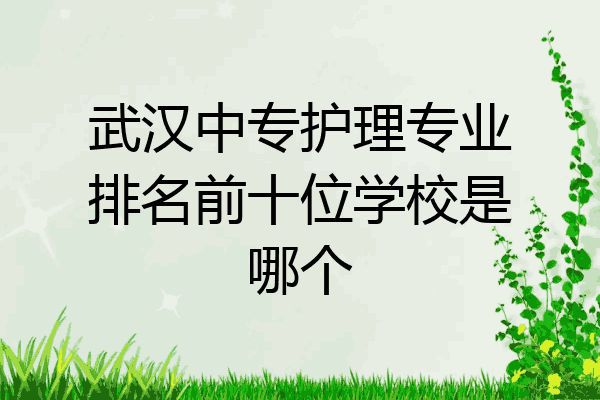 武汉中专护理专业排名前十位学校是哪个