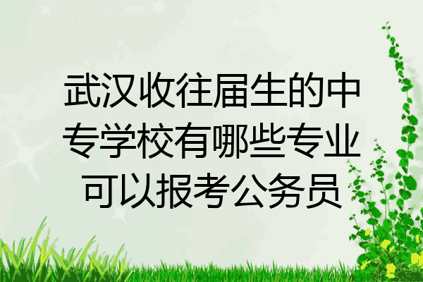 武汉收往届生的中专学校有哪些专业可以报考公务员