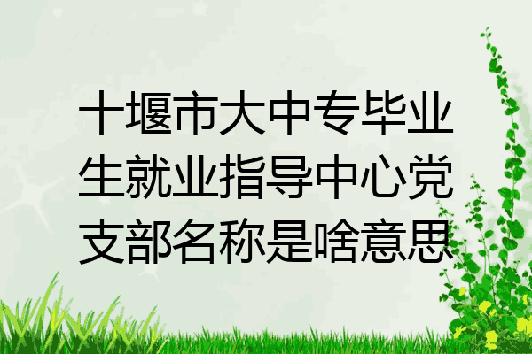 十堰市大中专毕业生就业指导中心党支部名称是啥意思