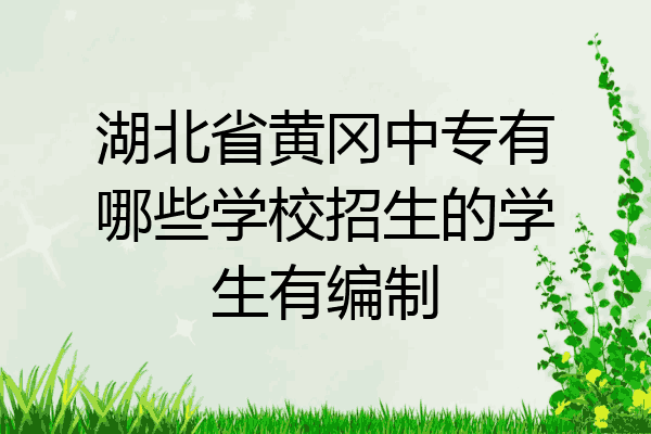 湖北省黄冈中专有哪些学校招生的学生有编制
