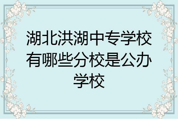 湖北洪湖中专学校有哪些分校是公办学校