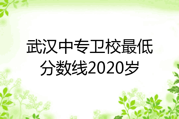 武汉中专卫校最低分数线2020岁