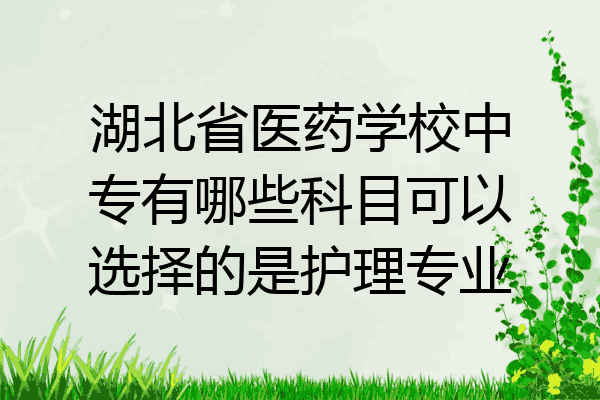 湖北省医药学校中专有哪些科目可以选择的是护理专业