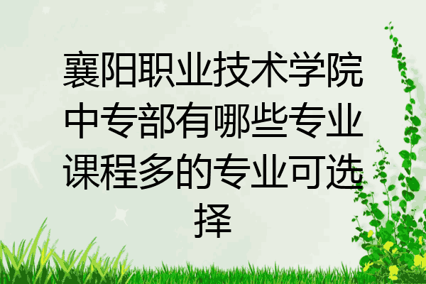襄阳职业技术学院中专部有哪些专业课程多的专业可选择