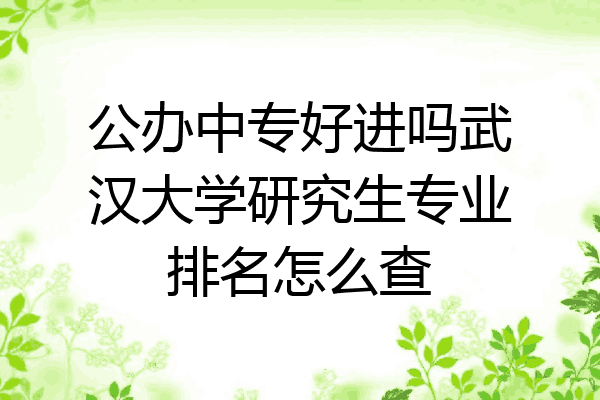 公办中专好进吗武汉大学研究生专业排名怎么查