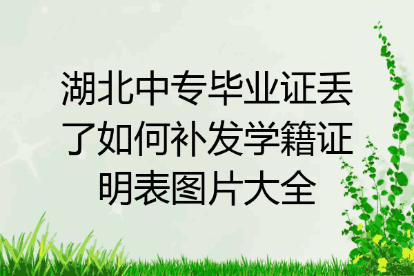 湖北中专毕业证丢了如何补发学籍证明表图片大全